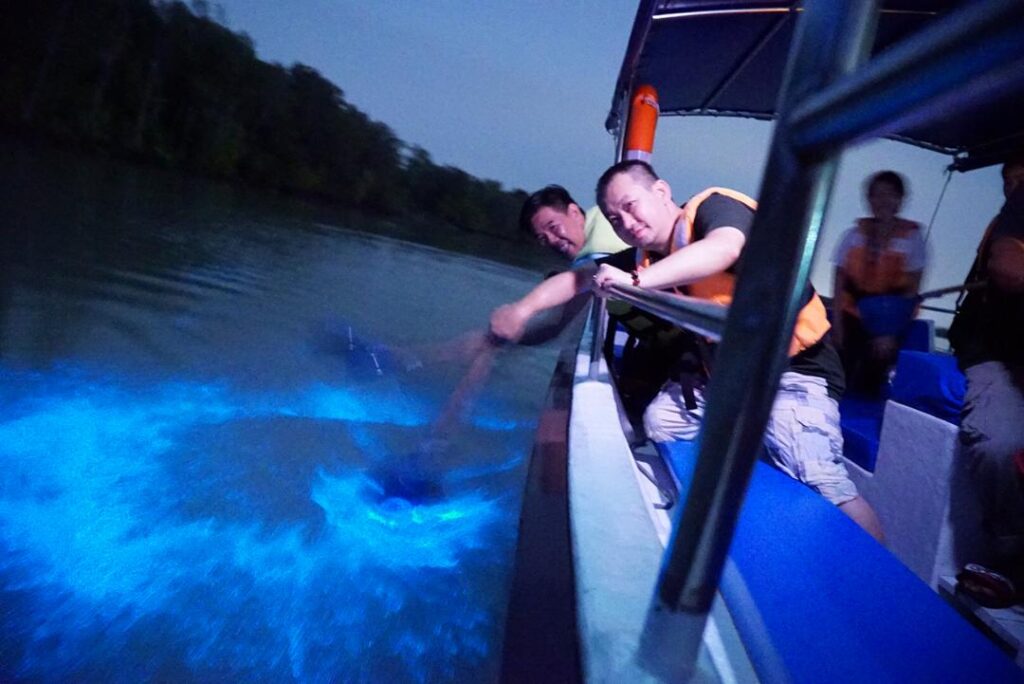 Activities in Kuala Selangor: Blue Tear Tours