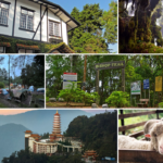 Attractions and activities to do in pahang