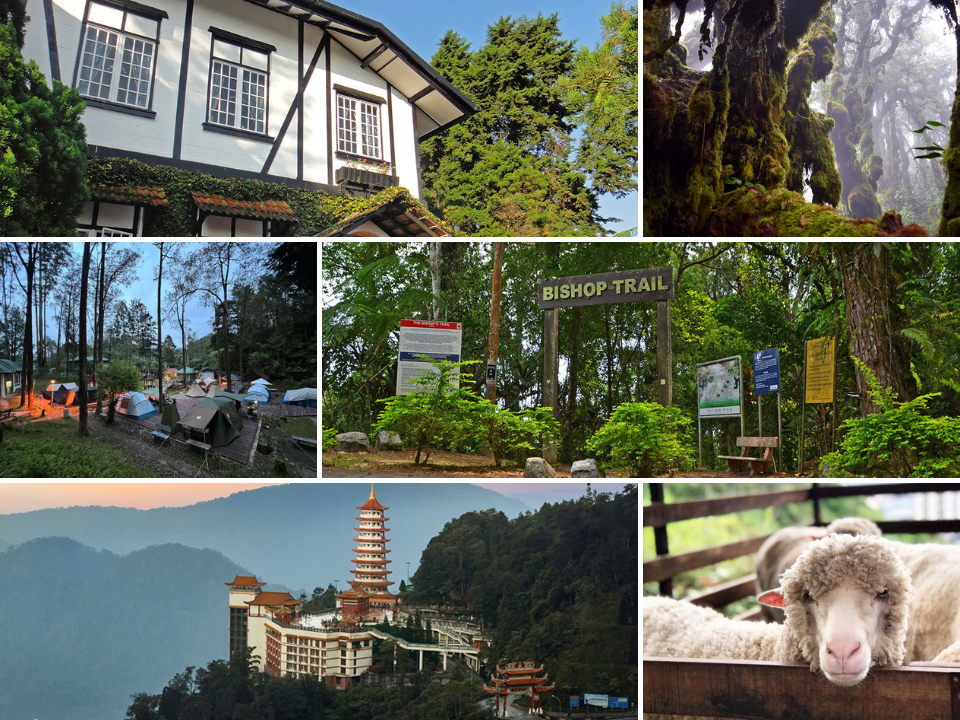 Attractions and activities to do in pahang