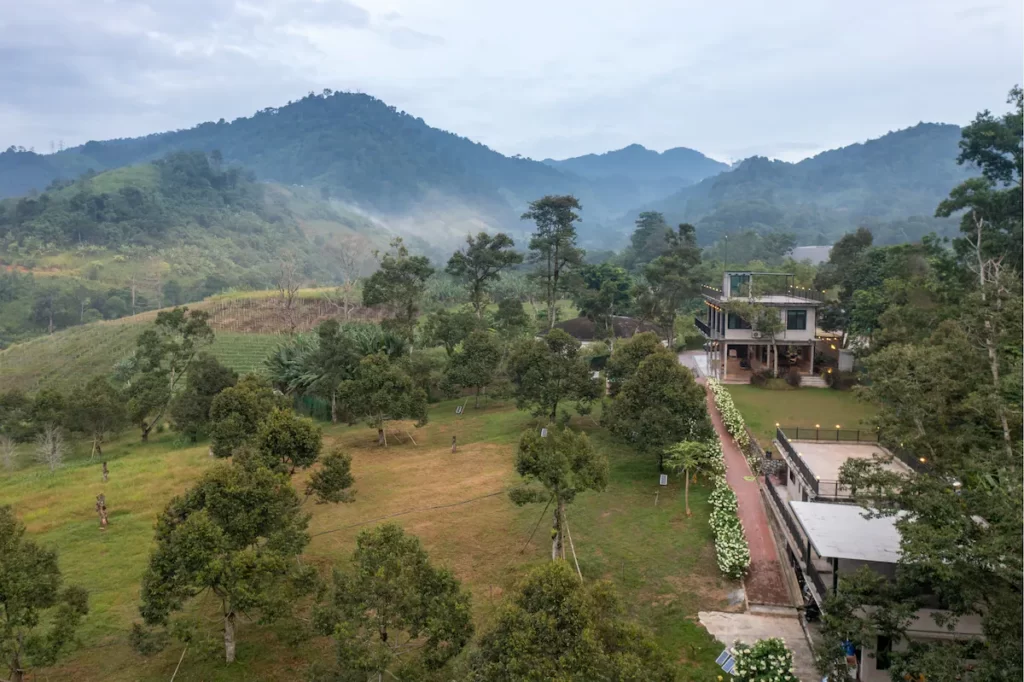 These Airbnbs Stay Comes With Durian Farm