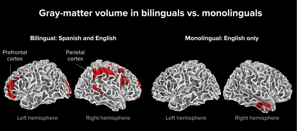 benefits of learning foreign languages: Enhances Your Brain & Memory Functions