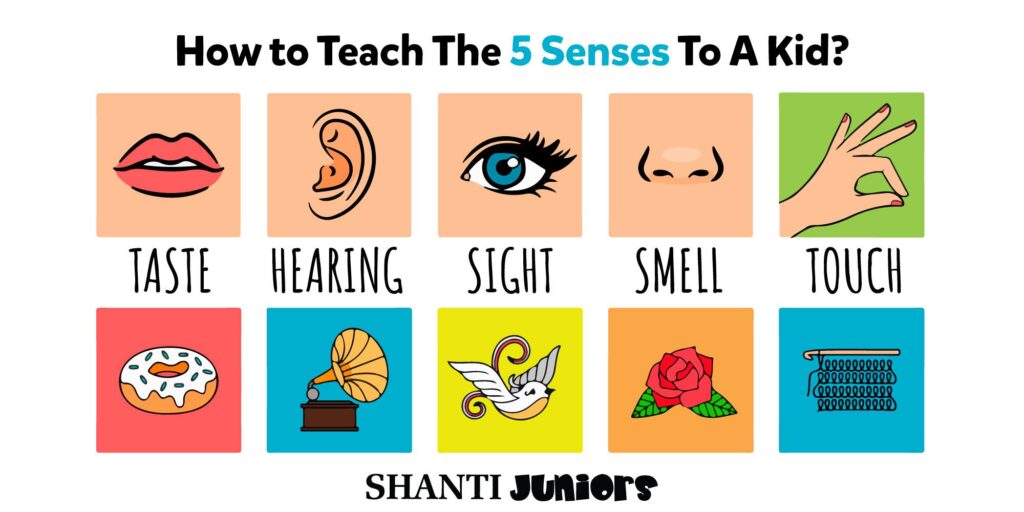 5 Senses Matching Puzzles