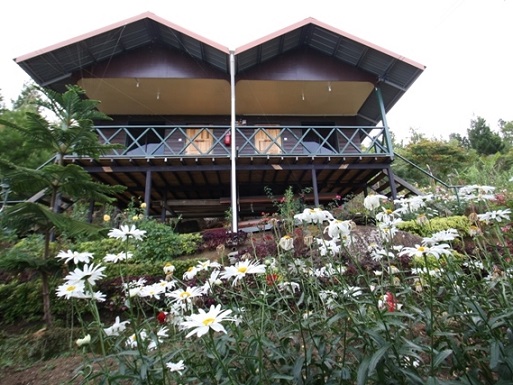 Mushroom cottage