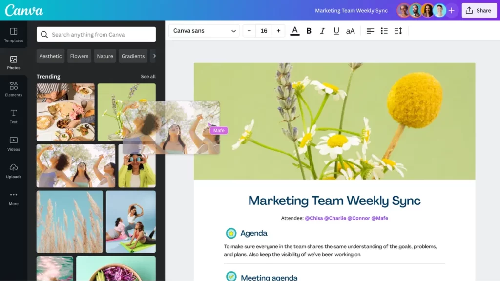 Online Collaboration Tools: 3. Canva