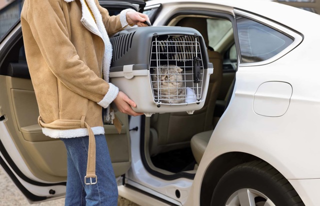 Tips For Travelling With Cats: Get The Right Carrier