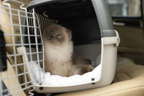 Tips For Travelling With Cats: Get The Right Carrier