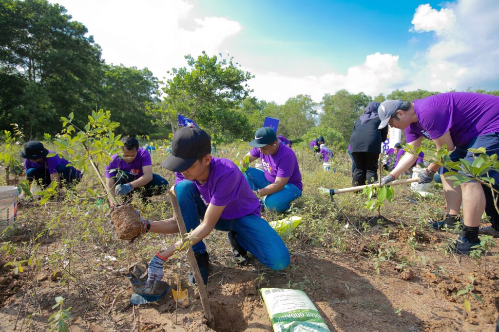 Tree Planting In Balik Pulau, Penang