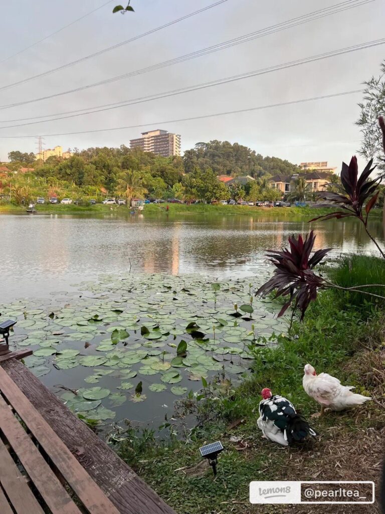 The Coffee Dock Shah Alam: Enjoying The Calming View By The Lake