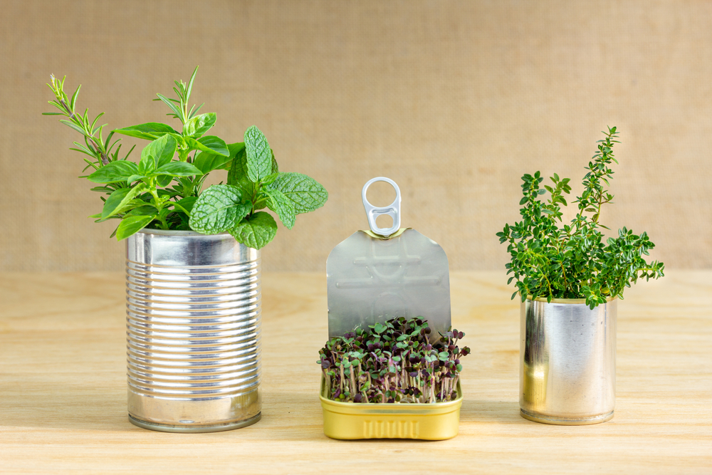 Eco-Friendly Practice: Upcycling & DIY Magic