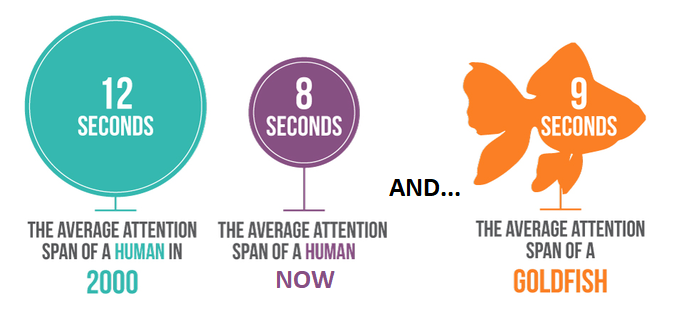 The Attention Span Of Generation Z