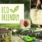 Living Green: Eco-Friendly Practice For A Sustainable Future