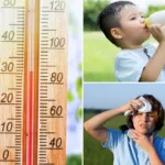 Why Kids Can Get Heat Stroke Faster?