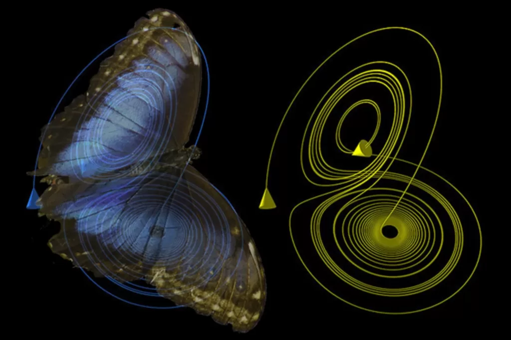 What Is The Butterfly Effect?