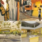 Cheap Things To Do In KL For Students