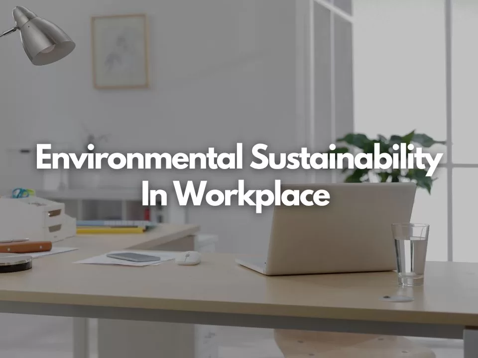 How Workplace Can Promote Environmental Sustainability?