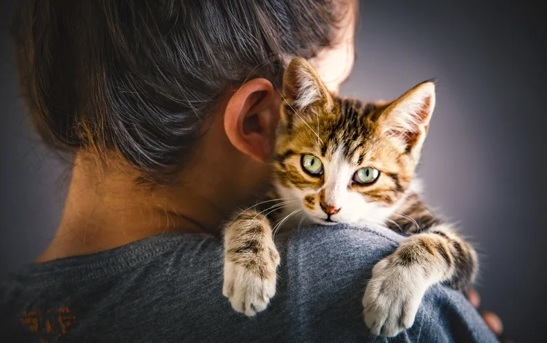 What Are The Benefits Of Having Pets