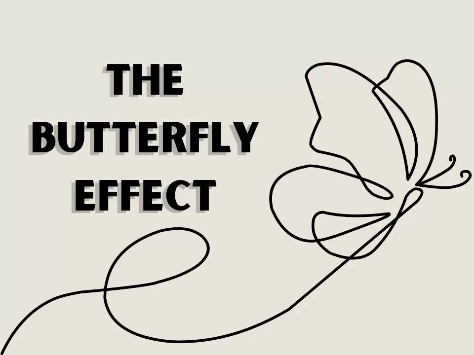 Butterfly Effect Examples In Workplace