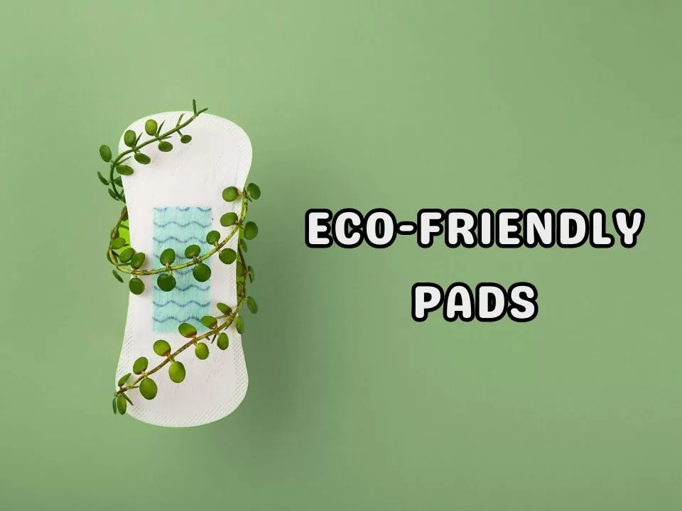 Eco-Friendly Sanitary Pad Brands In Malaysia