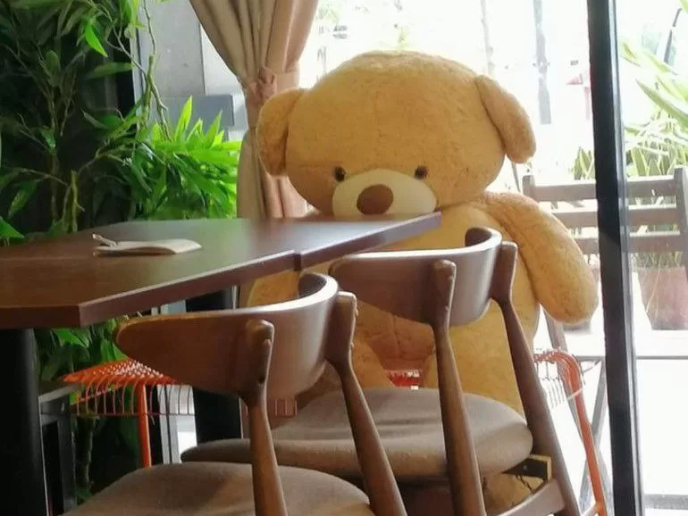 Kids-Friendly Place In The Teddy Cafe Only