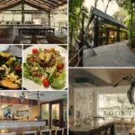 Farm-To-Table: Sustainable Cafes In Malaysia