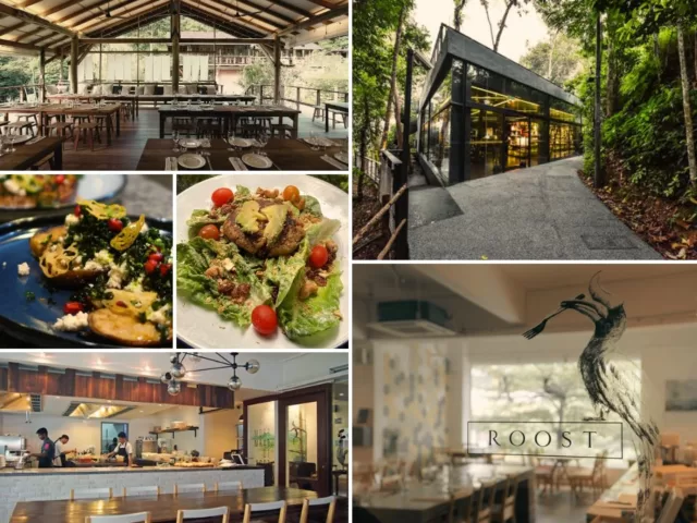 Farm-To-Table: Sustainable Cafes In Malaysia