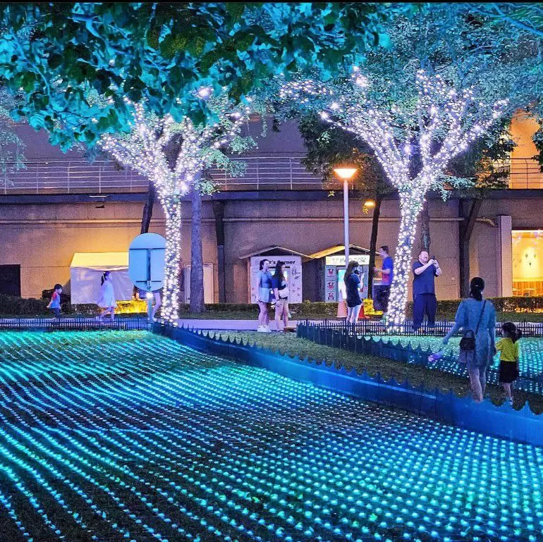 Field Of Lights Using 60000 LED Lights