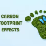 Negative Effects Of Carbon Footprint