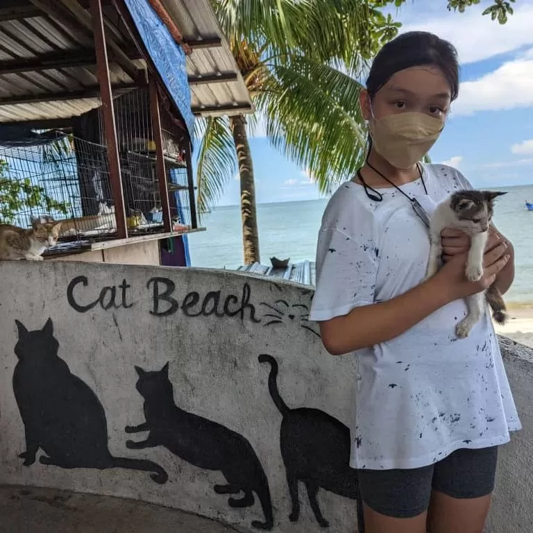 Visit Cat Beach In Penang Today!