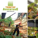 Treetop Adventure Park In The Rainforest Of 1 Utama