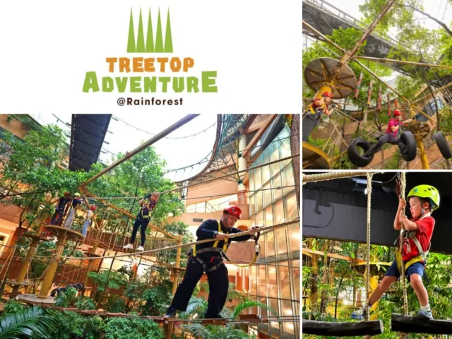 Treetop Adventure Park In The Rainforest Of 1 Utama