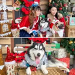 Jaya One Hosted Santa Paws