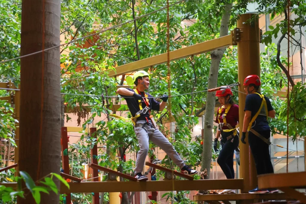 Treetop Adventure Park @ 1 Utama Shopping Centre