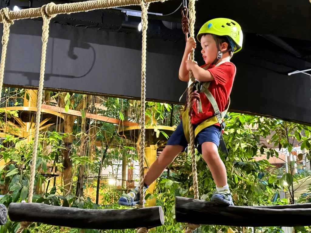 Kids Zone at Treetop Adventure Park 1 Utama