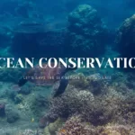 Ocean Coservation In Malaysia