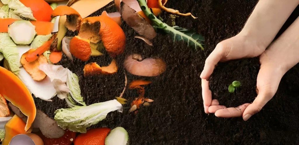 Ways To Reduce Climate Change Includes Composting Organic Waste