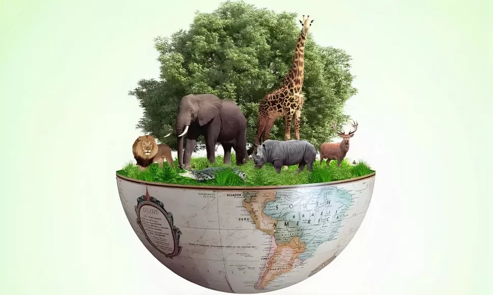 Let's Save The Earth's Biodiversity