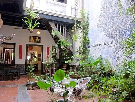 Visit The Baboon House Melaka With Your Loved Ones!