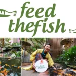 Feed-The-Fish Charity at 1 Utama