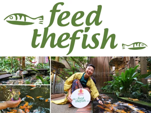 Feed-The-Fish Charity at 1 Utama