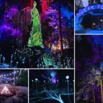 Must-Visit Dream Forest In Langkawi, Kedah!
