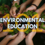 The Role Of Environmental Awareness!