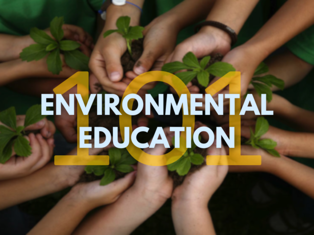 The Role Of Environmental Awareness!