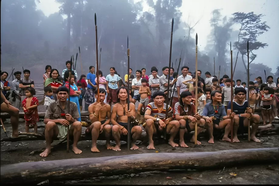 Loss Of Forest Causes Displacement of Indigenous Communities