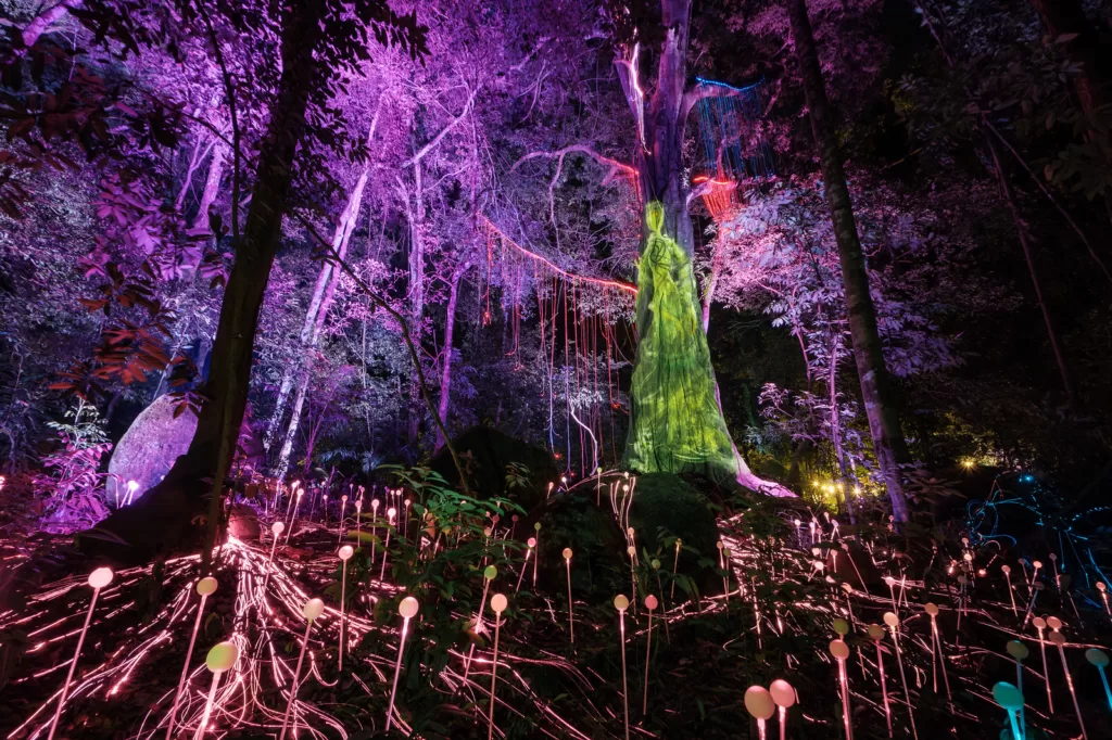 Here's Why You Should Visit The Dream Forest In Langkawi!