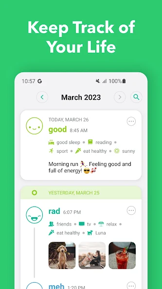  Daylio Journal – Mood Tracker For Your Android