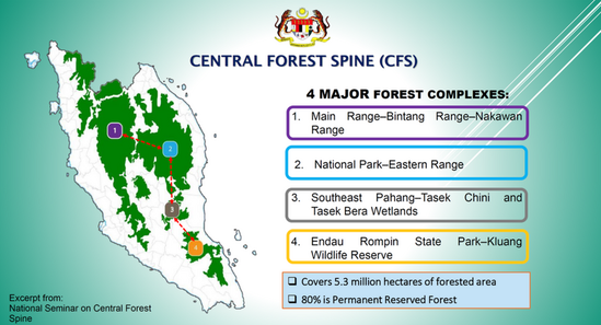 Preserving The Central Forest Spine