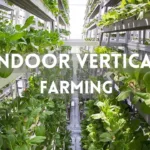 The Growing Trend Of Indoor Vertical Farming In Malaysia
