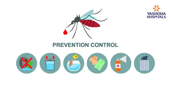 How To Prevent Dengue Outbreak?