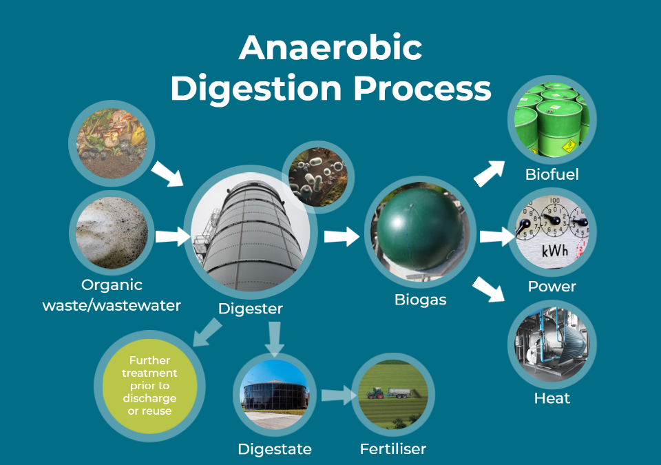 Fourth Stop: Anaerobic Digestion