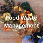 Food Waste Management: Unveiling The Journey Of Discarded Edibles